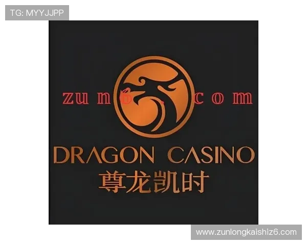 尊龙时凯中国官网入口下载最新版：如何通过官网入口快速获取最新版软件的完整流程