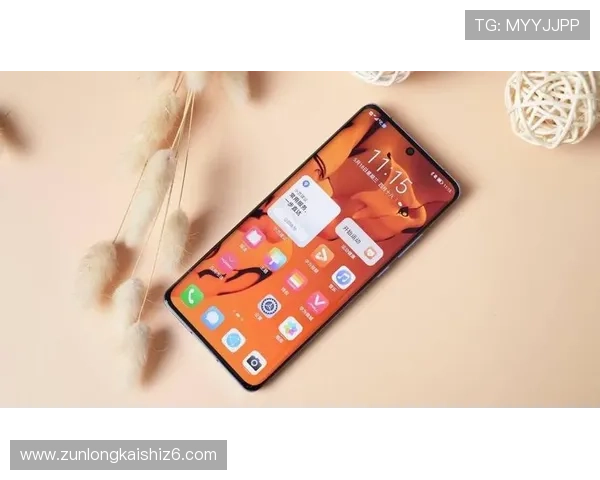 尊龙z6网娱乐app如何保障用户资金安全与隐私保护措施介绍